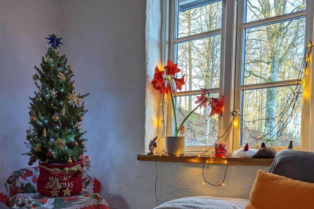 Beautiful And Cosy House Near The Lake Olofström Exterior foto
